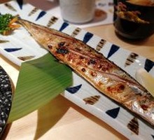 Hokkaido Saury