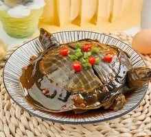 Softshell Turtle
