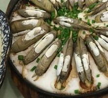 Clam