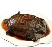 Softshell Turtle Dish