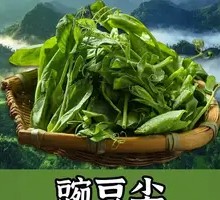 Pea Shoots