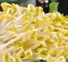 Mung Bean Sprouts