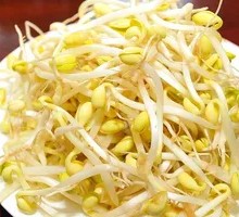 Mung Bean Sprouts
