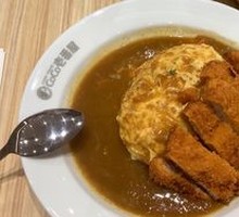 Fried Pork Cutlet Omelette Rice