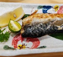 Pacific Saury