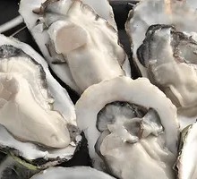 Oyster