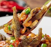Small Fish and Shrimp