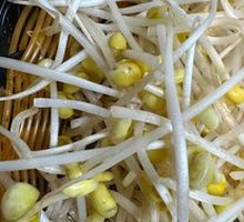 Mung Bean Sprouts