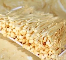 Tofu Skin Rolls with Enoki Mushrooms