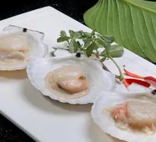 Grilled Scallops
