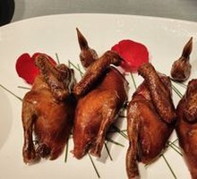 Signature Pigeon