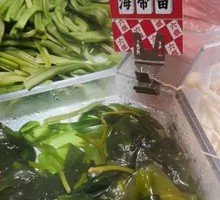 Sea lettuce