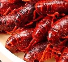 Steamed Lobster