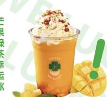 Mango Green Tea Lucky Ice