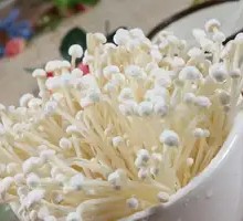 Enoki Mushroom