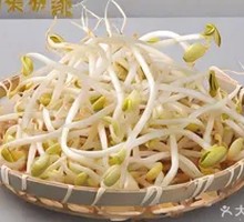 Mung Bean Sprouts