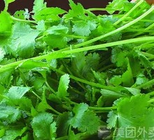 Cilantro