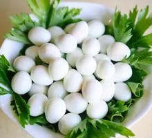 Quail Egg