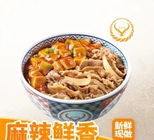 Mapo Tofu Beef Rice