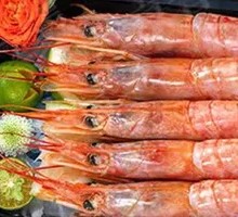 Argentine Red Shrimp