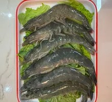 Fresh Shrimp