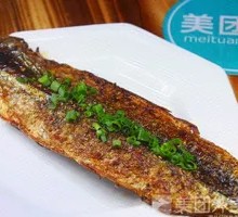 Sardine