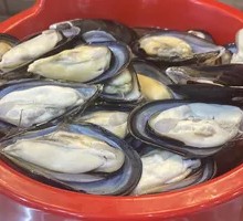 Blue-mouth Clam