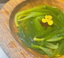 9-Second Kelp Sprout