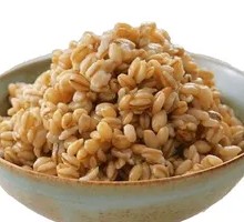 Sweet Fermented Barley