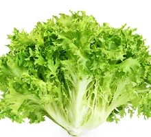 Lettuce