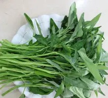 Water spinach