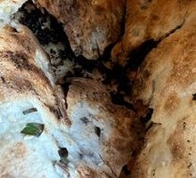 Preserved Vegetable Pancake