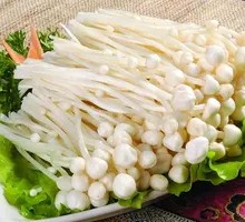 Enoki Mushroom