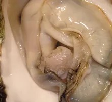Oyster