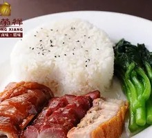 Roast Duck and Barbecue Pork Rice