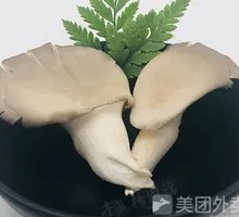 Enoki Mushroom