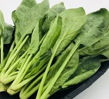 Spinach