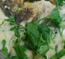 Fish Head and Tofu Soup