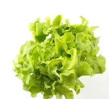 Lettuce