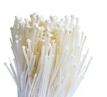 Enoki Mushroom