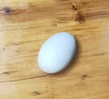 Boiled Egg