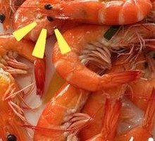 Boiled Shrimp in Salt Water