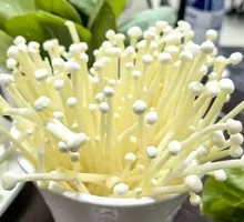 Enoki Mushroom