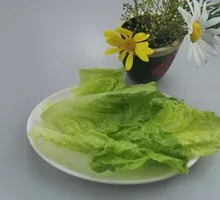 Lettuce