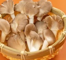 Enoki Mushroom