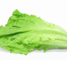 Lettuce