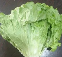 Lettuce