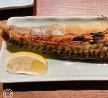 Pacific Saury