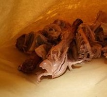 Half Roast Duck Frame