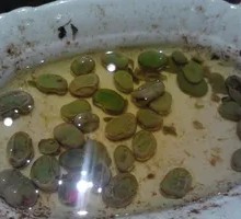 Oil-Infused Broad Beans